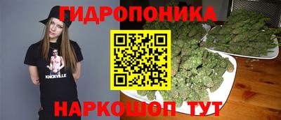 гидропоника Ипатово